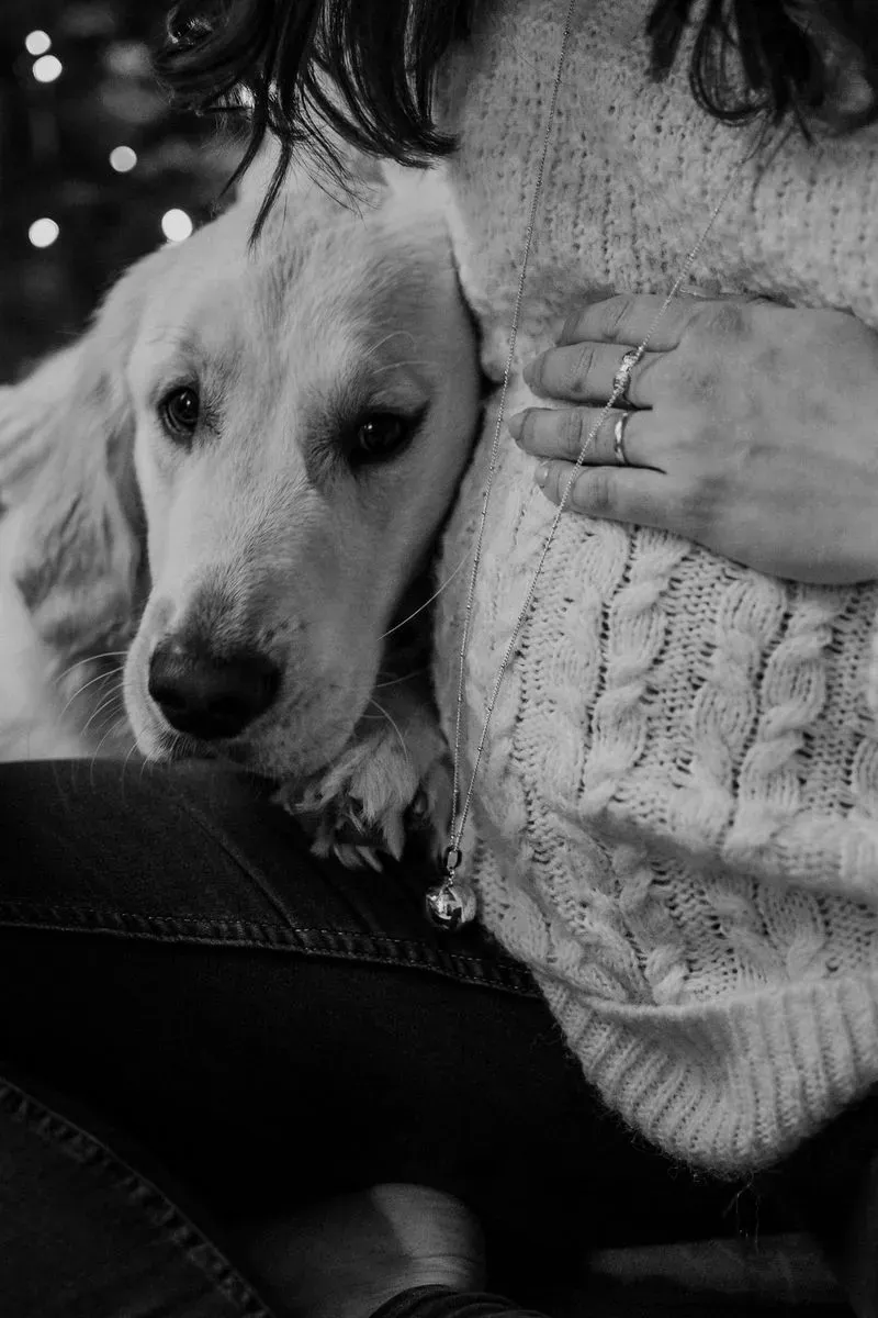 seance-photo-grossesse-puy-de-dome-130