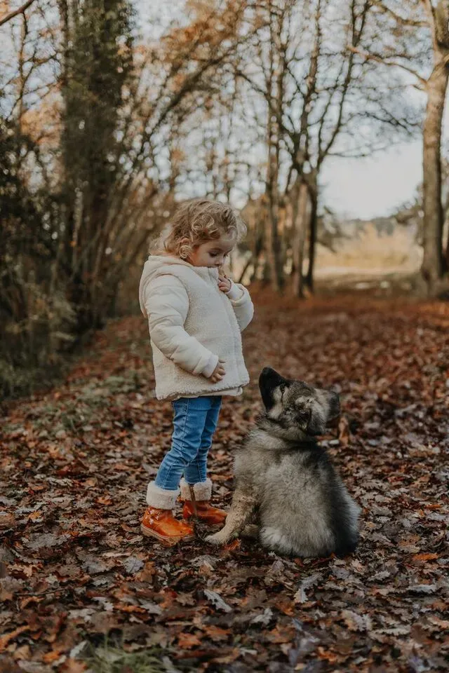 seance-photo-grossesse-lisle-sur-tarn-23